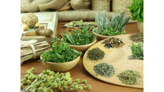 Thảo dược tự nhiên dễ kiếm dùng cho phòng xông hơi