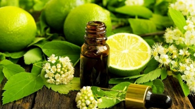 Tác dụng của các loại tinh dầu xông hơi toàn thân